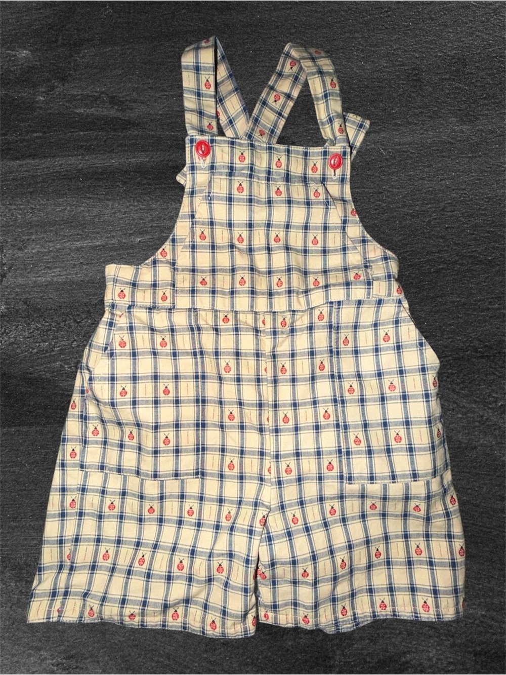 Handmade Plaid Baby Overalls 12–18M | Embroidered Bugs